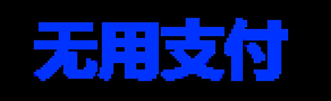 无用支付